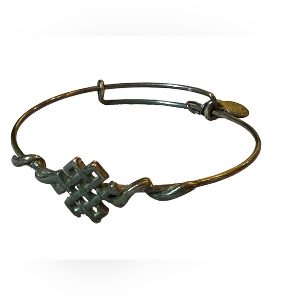 Alex and Ani Endless Knot Bangle Wrap Bracelet in Rafaelian Silver Over Copper - Picture 2 of 9